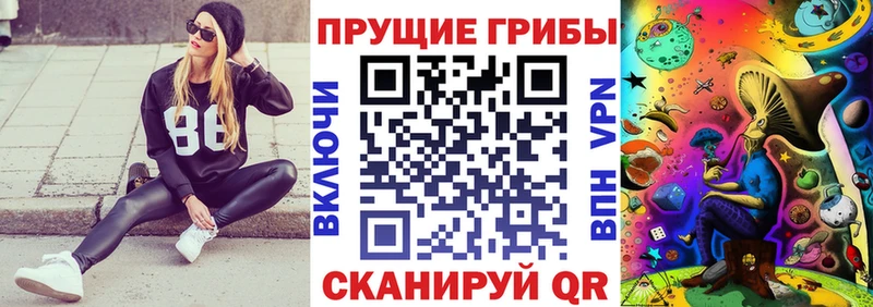 Галлюциногенные грибы MAGIC MUSHROOMS  Купить  Тихвин 